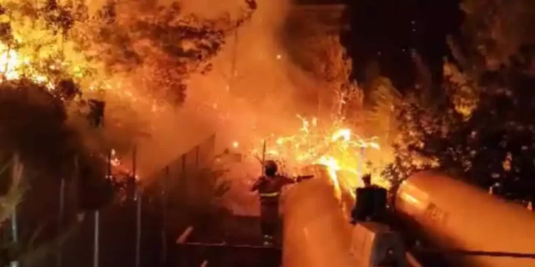 Incendio Valencia: el fuego sin control por la borrasca Ciarán calcina 2.000 hectáreas y suma 850 evacuados>