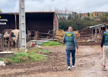 La Guardia Civil investiga a 30 personas por fraude en el cobro de subvenciones de la UE>