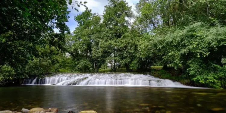 El Tins, primer río español con derechos reconocidos>
