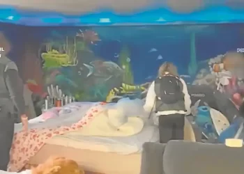 La mafia de explotadores sexuales que llegó a amasar más de un millón de euros esclavizando a sus víctimas>