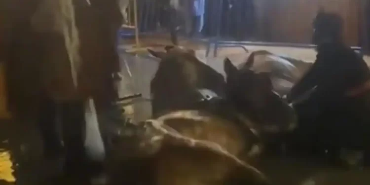 Dos caballos acaban en el suelo en la cabalgata de Oviedo a causa de la lluvia>