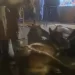 Dos caballos acaban en el suelo en la cabalgata de Oviedo a causa de la lluvia>