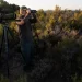 El enigma del lobo avistado hace casi un mes en la provincia de Ciudad Real>