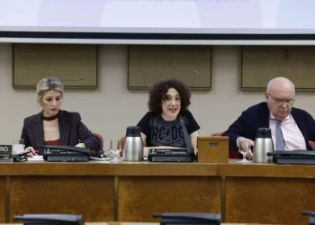 El estreno de la traducción en las comisiones termina en caos>