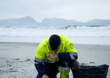 Galicia, Asturias y Cantabria elevan la alerta en sus planes de emergencia por la oleada de pellets>