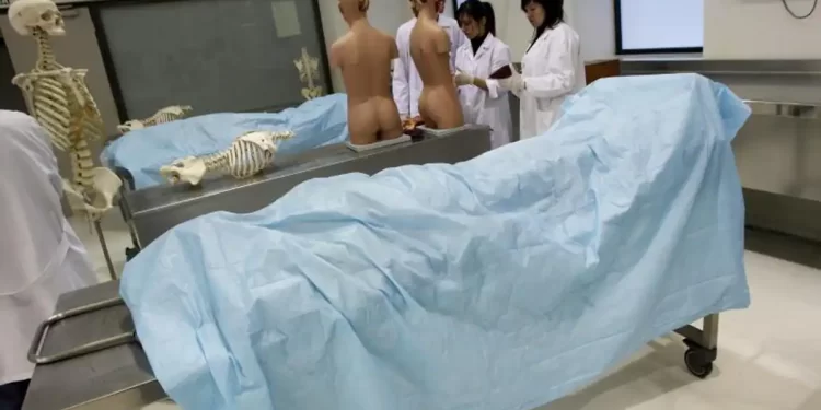 La Universitat de Valencia y la Católica se desvinculan de la compra de cadáveres: «Sólo aceptamos donaciones»>