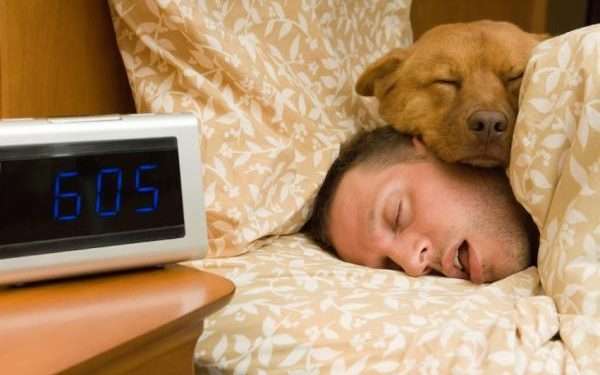 Por qué es bueno dormir con perros, según expertos