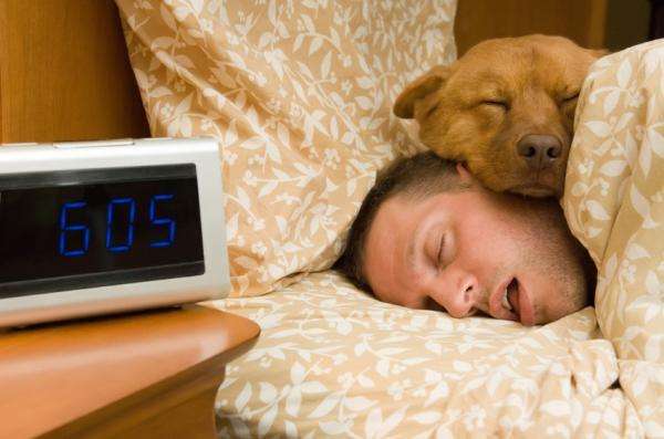 Por qué es bueno dormir con perros, según expertos