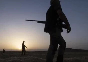 Un hombre de 74 años mata a su hermano de 79 mientras cazaban de noche en una finca de Los Navalucillos>