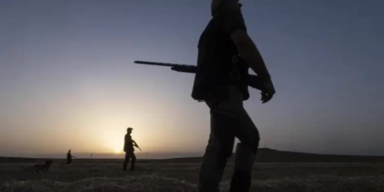 Un hombre de 74 años mata a su hermano de 79 mientras cazaban de noche en una finca de Los Navalucillos>