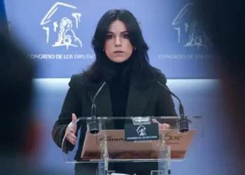 Vox se abstendrá en la reforma del artículo 49 de la Constitución que eliminará el término «disminuidos»>