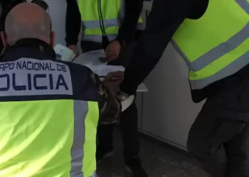Cae una trama que cobraba hasta 800 euros por suplantar la identidad en los exámenes para obtener la nacionalidad española>