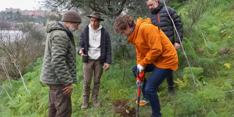 Decenas de toledanos participan en la reforestación del parque de Polvorines>