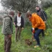 Decenas de toledanos participan en la reforestación del parque de Polvorines>