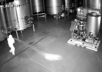 El presidente de Cepa 21 asegura que de haberse saboteado todos los depósitos, la bodega estaría en «quiebra técnica»>