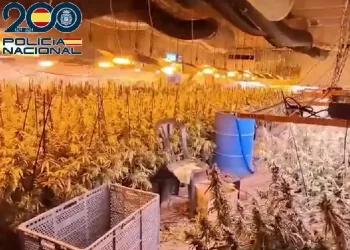 La nave de Ajofrín que pasó de criadero de pollos a ser macroplantación de marihuana y laboratorio de cocaína>