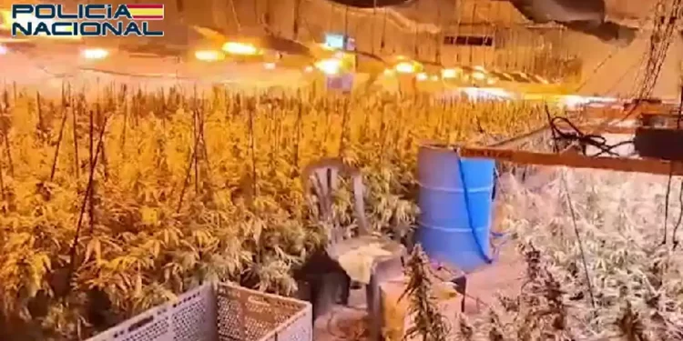 La nave de Ajofrín que pasó de criadero de pollos a ser macroplantación de marihuana y laboratorio de cocaína>