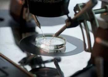 Rueda ampliará a los 45 años la edad para acceder a la fecundación in vitro en la sanidad pública>