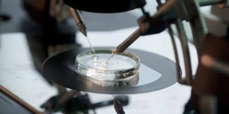 Rueda ampliará a los 45 años la edad para acceder a la fecundación in vitro en la sanidad pública>