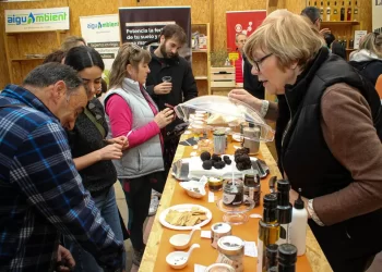 Trufa negra, la joya que genera 33 millones de euros>