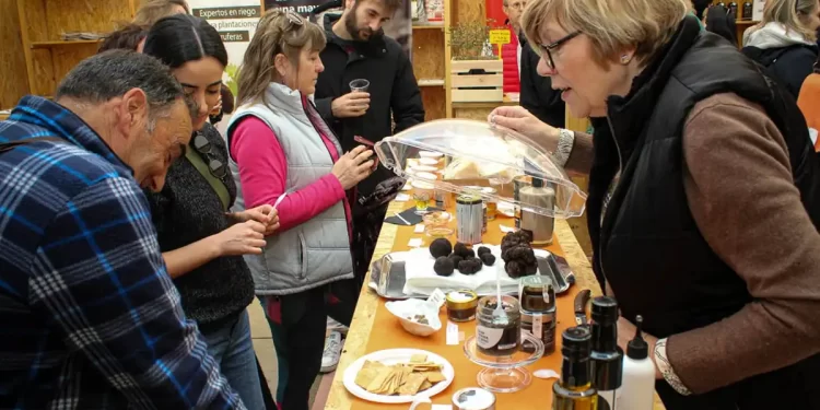 Trufa negra, la joya que genera 33 millones de euros>