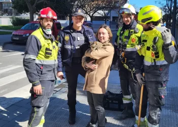 El escondite del gato rescatado en el incendio de Valencia que le permitió sobrevivir ocho días>