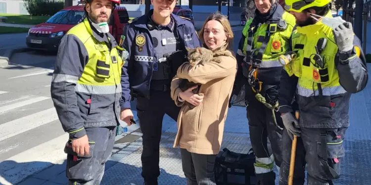 El escondite del gato rescatado en el incendio de Valencia que le permitió sobrevivir ocho días>