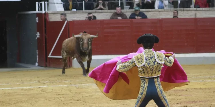 Emoción en Villaseca, donde nadie se aburre: de toros fieros a toreros bravos>