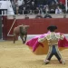 Emoción en Villaseca, donde nadie se aburre: de toros fieros a toreros bravos>