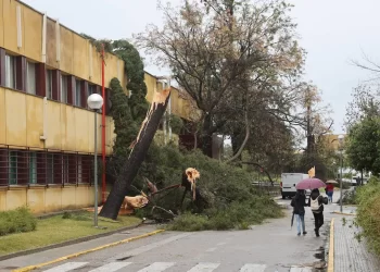 (En vídeo) La lluvia y el viento causan en Córdoba daños en el Reina Sofía, el Patio de los Naranjos y El Fontanar>