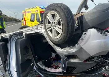 Fallece una mujer tras salirse de la vía y chocar con un árbol el coche en el que viajaba en la A-6 en Valladolid>