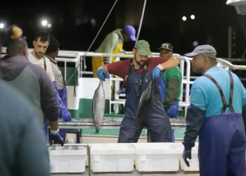 Galicia cierra febrero con el menor dato de paro en 28 años>