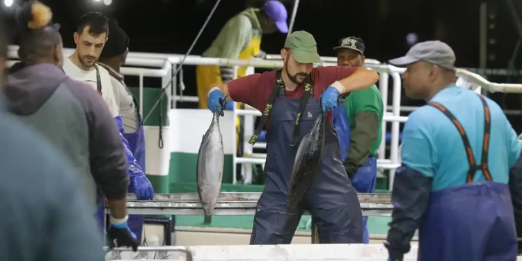 Galicia cierra febrero con el menor dato de paro en 28 años>