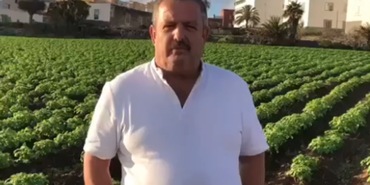 Investigan al presidente de COAG Canarias por emplear ilegalmente a menores inmigrantes en su finca>