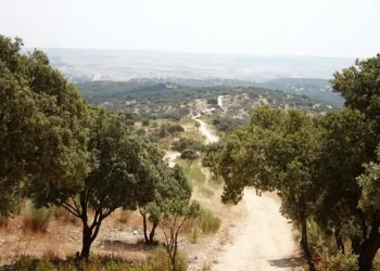 La Comunidad de Madrid ya tiene su primer sendero azul: dónde está y cómo ir>