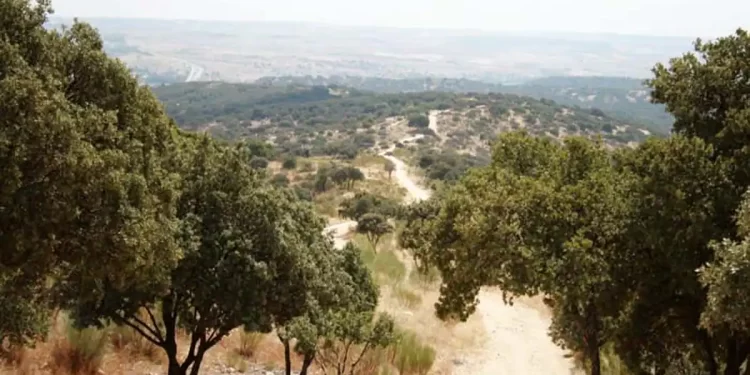 La Comunidad de Madrid ya tiene su primer sendero azul: dónde está y cómo ir>