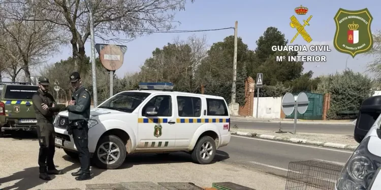 La Guardia Civil intercepta a una persona con más de 300 conejos de campo capturados de manera ilegal>