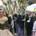 Mazón: «Aprobaremos el martes la catalogación del desfile de las gaiatas como Bien de Interés Cultural»>