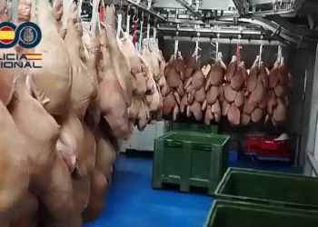 Cae un grupo criminal que estafó 17 millones de euros vendiendo jamones con sellos sanitarios falsificados>