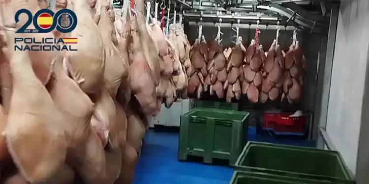 Cae un grupo criminal que estafó 17 millones de euros vendiendo jamones con sellos sanitarios falsificados>