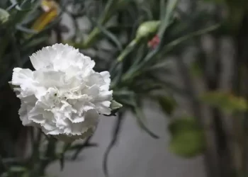 Calendario festivo de Córdoba: estas son las próximas citas tras la suspensión de la Cata del Vino Montilla-Moriles>