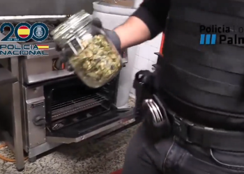 Detenidas 27 personas por vender marihuana y hachís en asociaciones canábicas ilegales en Mallorca e Ibiza>