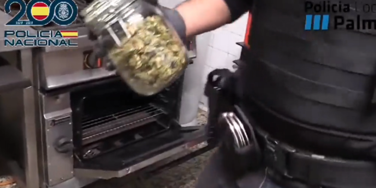 Detenidas 27 personas por vender marihuana y hachís en asociaciones canábicas ilegales en Mallorca e Ibiza>