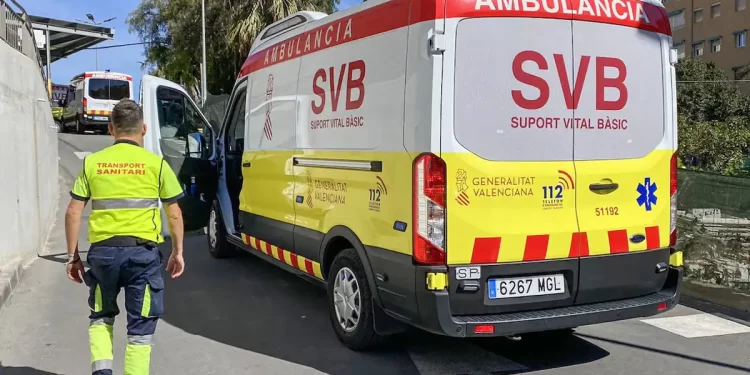 Dos perros muerden a dos hombres en piernas y brazos en Alicante>