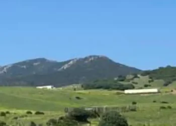 El Ayuntamiento de Tarifa, condenado a revisar de oficio la licencia para un proyecto hotelero>