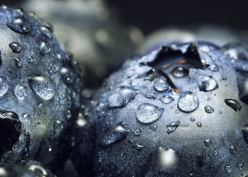 La fruta de la longevidad: es un potente antioxidante, produce colágeno y agudiza la memoria