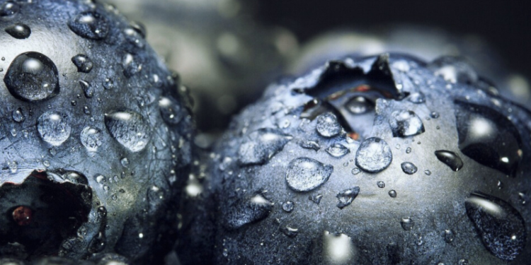 La fruta de la longevidad: es un potente antioxidante, produce colágeno y agudiza la memoria