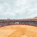 Llenazo en la vuelta de los toros a Ciudad Real>