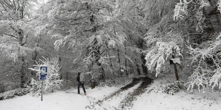 Muere una española de 14 años tras caer por un barranco en el Pirineo francés>