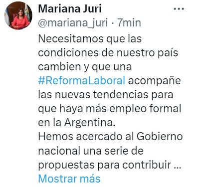 Qué dice la reforma laboral que milita la mendocina Mariana Juri (y que sería incluída en la Ley Bases)